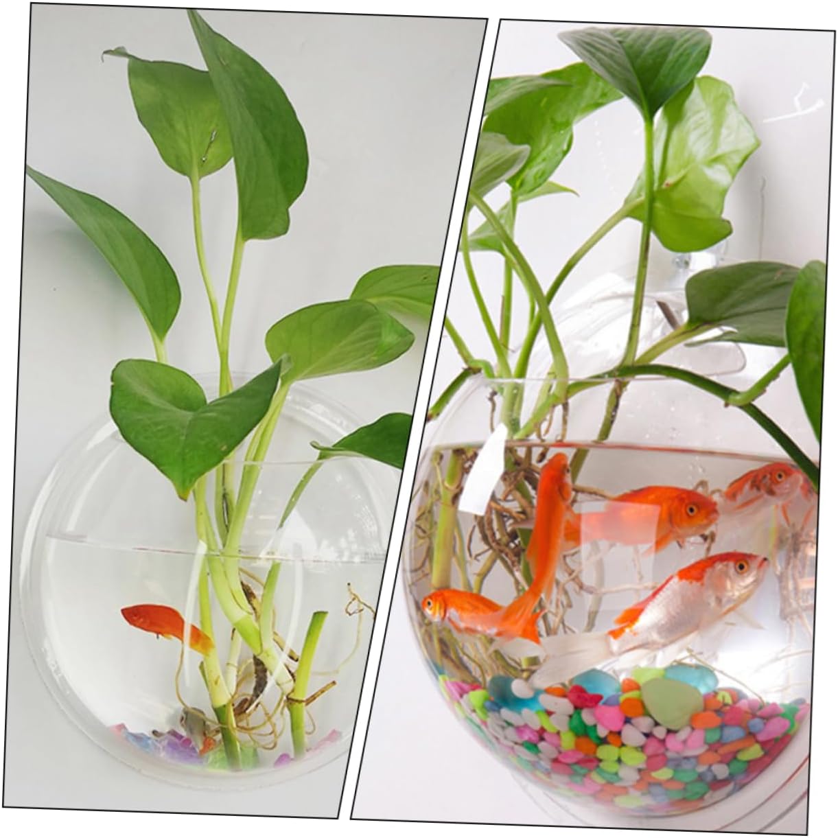 Toddmomy Wall-Mounted Acrylic Fish Bowl Planter Wall Hanging Fish Tank for Decor Creative Planter for Hydroponic Plants and Flowers