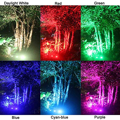 Zuckeo Landscape Lights 6W Rgb Remote Control Led Landscape Lighting With 12V 24V Low Voltage Transformer Waterproof 16 Color-Changing Garden Pathway Decorative Lights For Indoors Outdoors (10 Pack) #TOP7