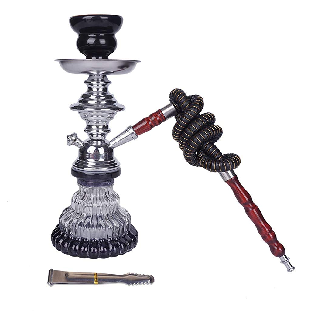LJJ Cachimba Moderno Accesorios Completos para Shisha 1 Mangueras Diseño Vástago Carbón Pinzas para Carbón para Fiestas Casa