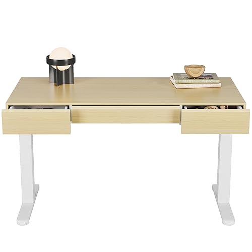 HUANUO Electric Standing Desk with 3 Drawers, 48 Inches Height