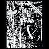  Escape the Past [Explicit]