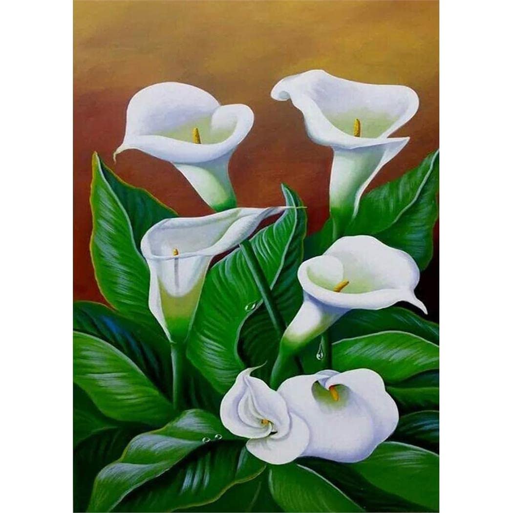YSCOLOR Diamond Painting Kit 5D Fai Da Te - Calla Lily 30x40cm Con Diamanti Rotondi, Tela HD, Penna