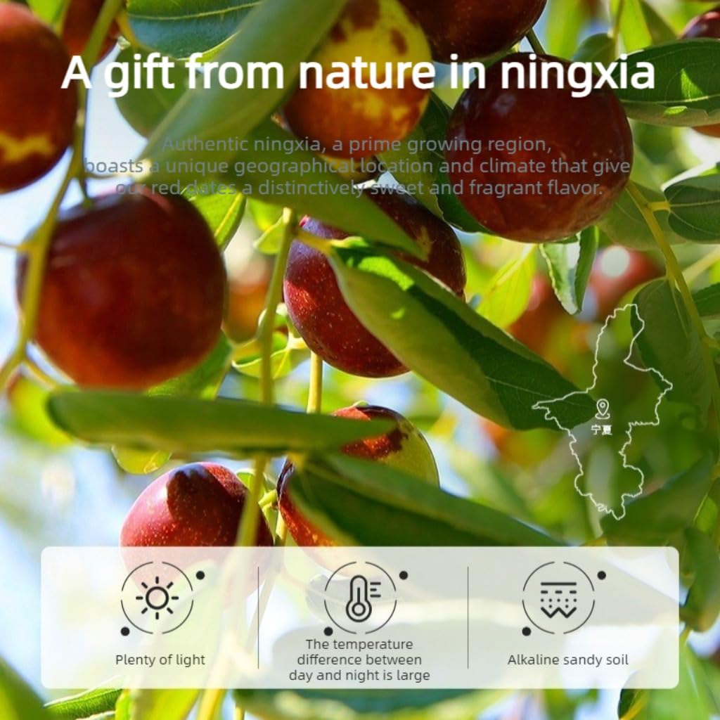 Dattes Rouges Pures Et Naturelles Du Ningxia, Chine (250g * 2) 500g / 17,64oz | Grand Jujube Séché, Sucré Naturel