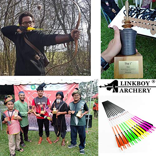 Linkboy Archery Carbon Arrows Hunting Practice Target Arrows Fluorescent With Removable Tip For Compound Recurve Long Bows, Spine 250 300 340 400 500 600 700 800, Pack Of 6/12Pcs #TOP7