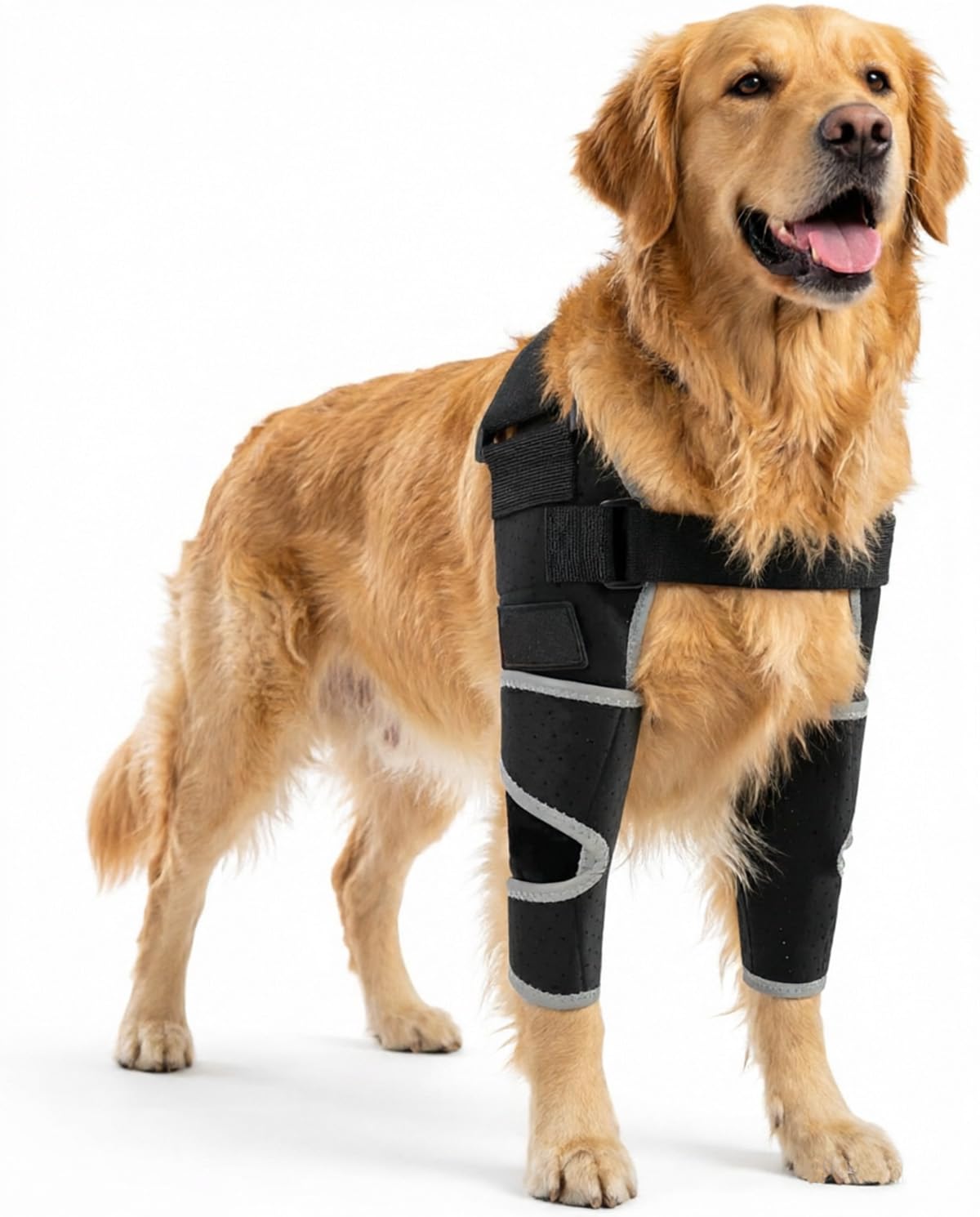 Bathgate Dog Elbow Brace for Shoulder Support Front Leg, Canine Elbow Wrap for Arthritis Pain Relief, Joint Wrap for Elbow Dysplasia Pressure Sores Injury Recovery