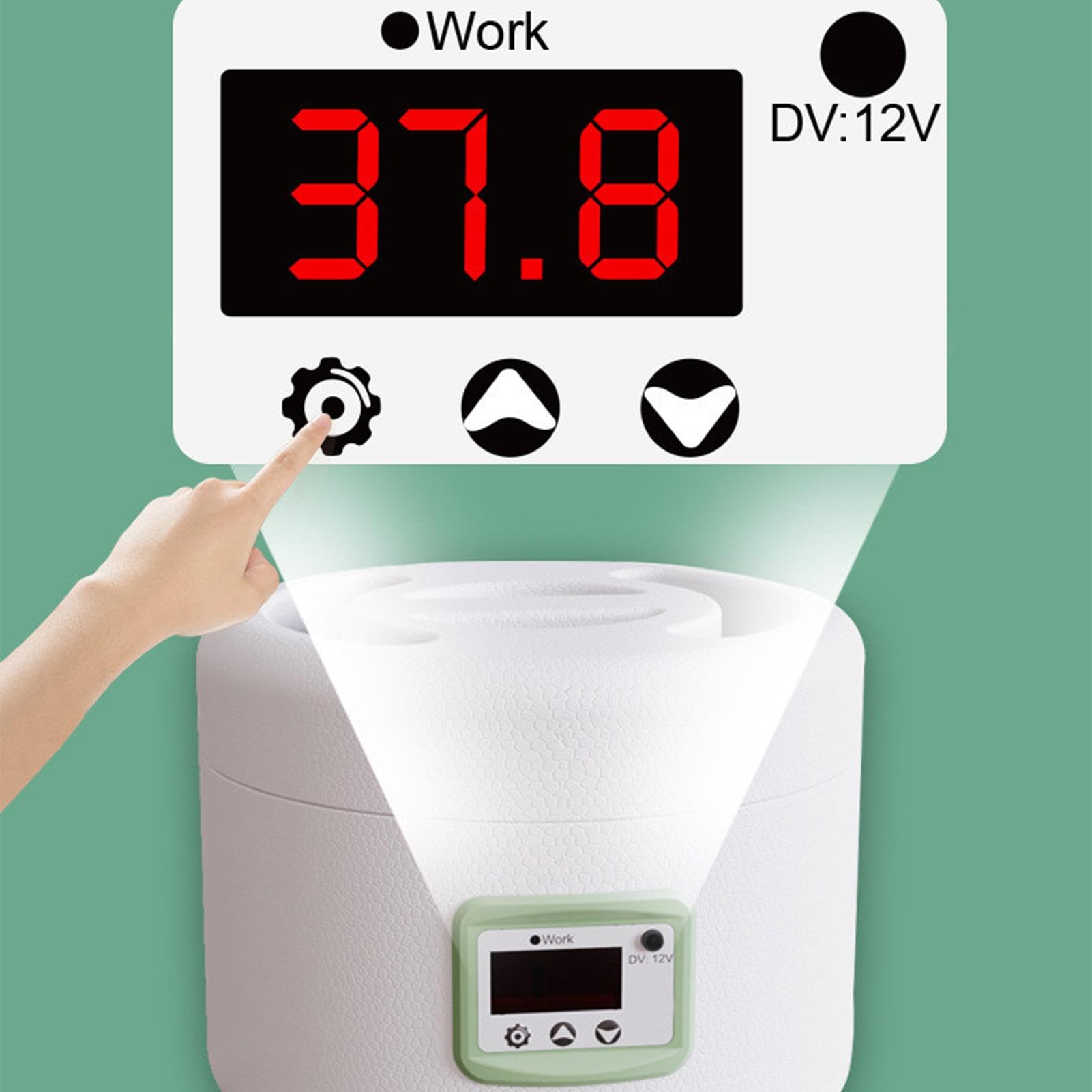 Incubatrice per incubazione di uova - Tornitore automatico ' controllo digitale della temperatura | Pollame per pollo, uova di quaglia, capacità da 9 a 10 uova, display a LED,