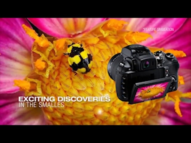 Amazon.com : Fujifilm FinePix HS30EXR Digital Camera (OLD