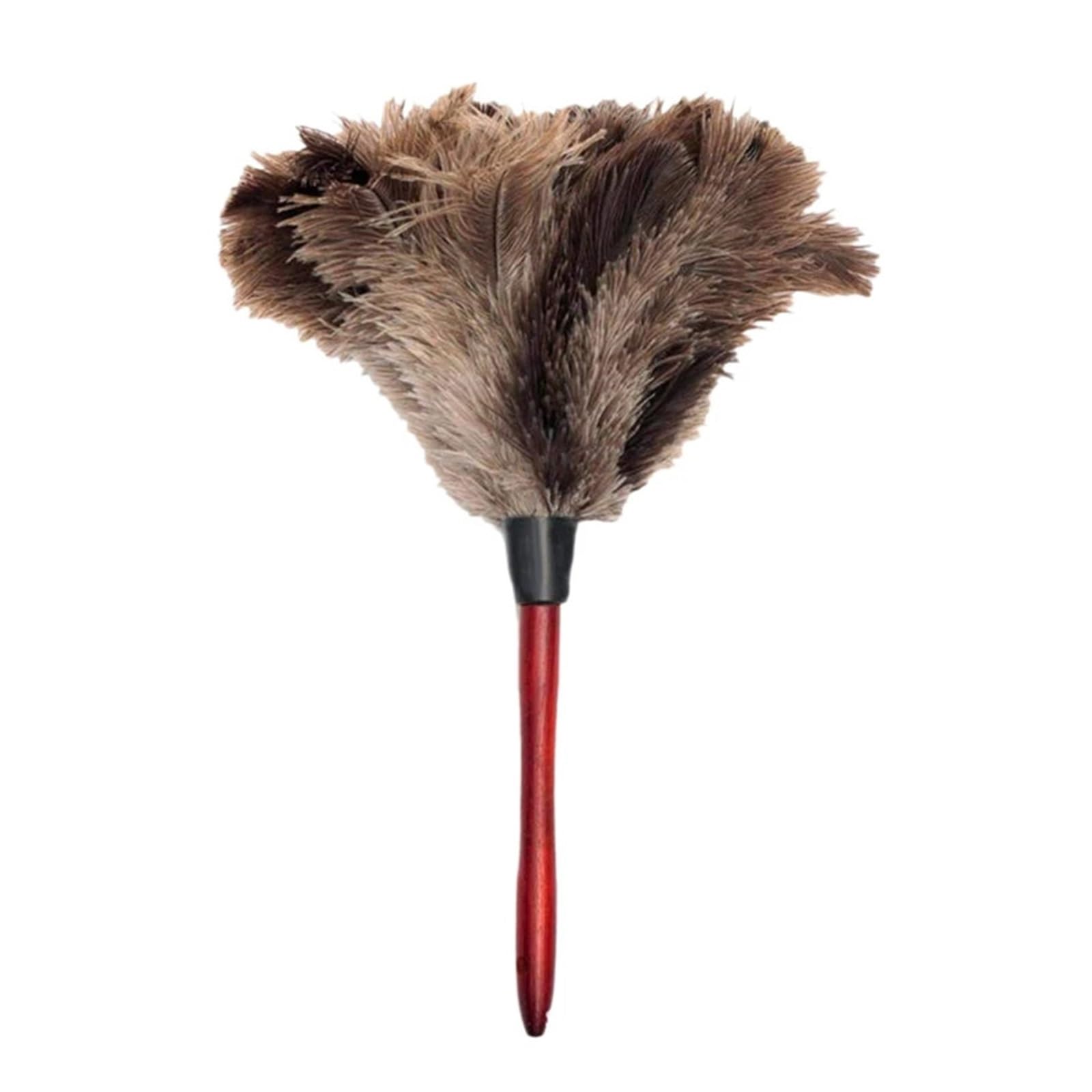 Feather Duster Ostrich Cleaning Feather Duster Feathers From Furniture To Fan Blades