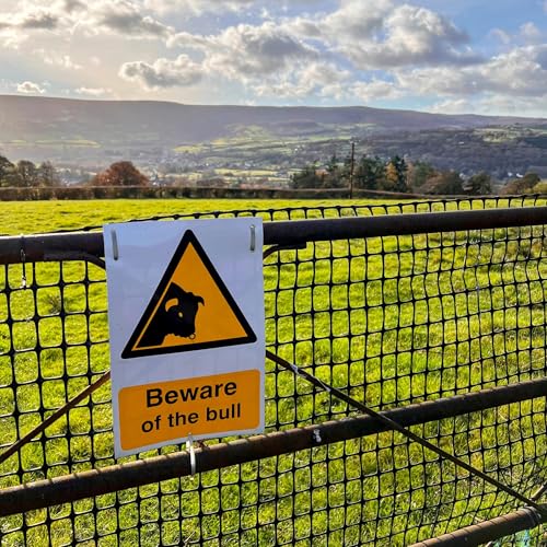 London Vacation Rental Woes; Hertz's EV Retreat