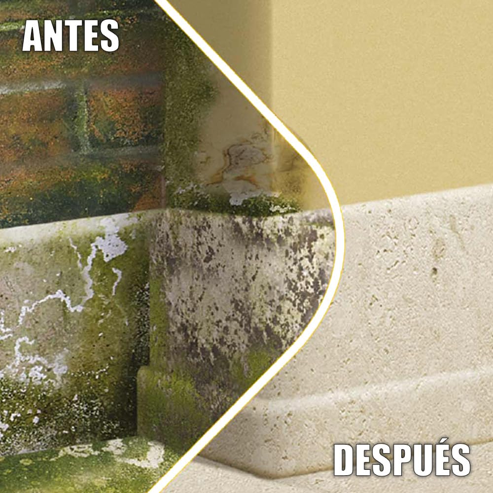 Limpiador de Humedades para Tejados, Fachadas y Suelos (10 ltr) - Elimina en profundidad las manchas negras y por el paso del tiempo - ANTIHUMEDADES