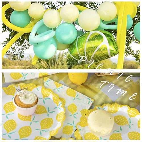9 Inch Lemon Disposable Paper Plate Cutlery Plate Lemon Party Dinner Dessert Paper Plate For Kids Baby Wedding Shower Christmas Brunch And Garden Party Supplies (40Piece) #TOP5
