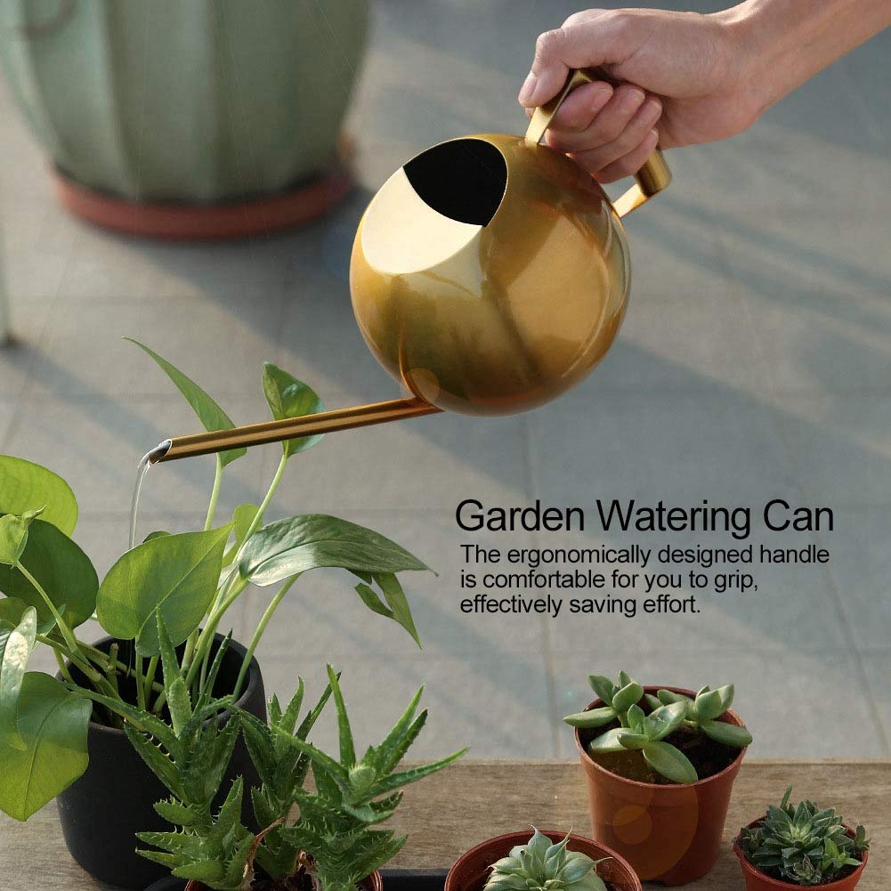 Stainless Steel Watering Can, Ergonomic Handle Leak-Proof Design 1000Ml for Indoor Outdoor Garden Plants Succulents - Image 4