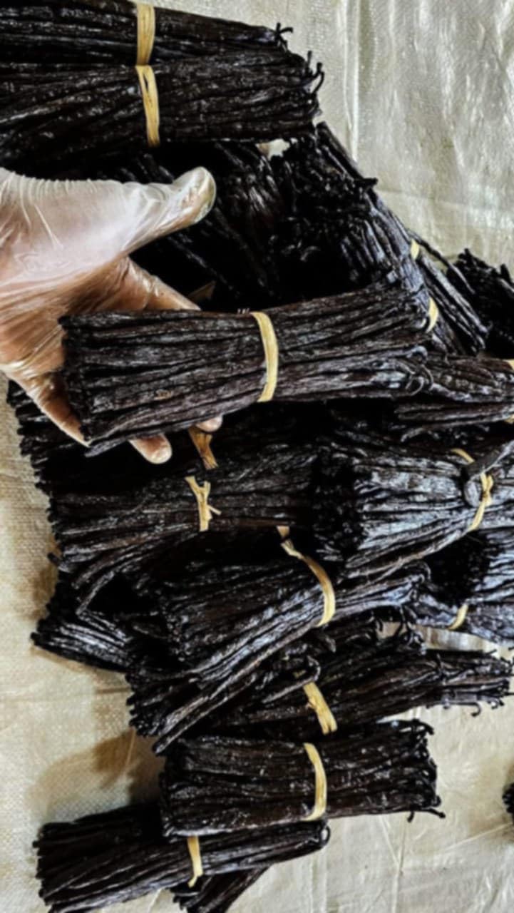Vanille Bourbon de Madagascar, Gousses Noires Gourmet, 18 à 23 cm, Très Caramélisées, Souples et de Haute Qualité