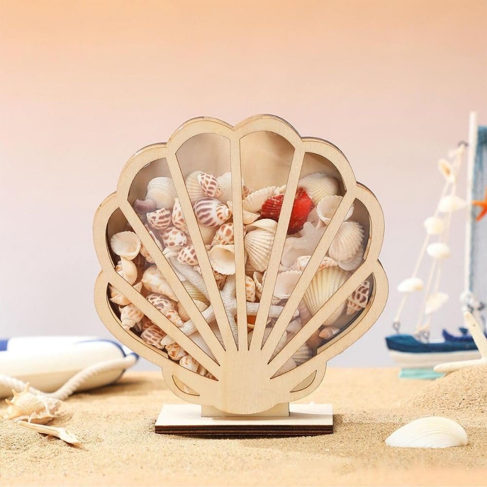 Wooden Seashell Display Case With Acrylic Panel | Coastal Decor | Memory Keepsake Box For Shells, Sea Glass, Small Collectibles