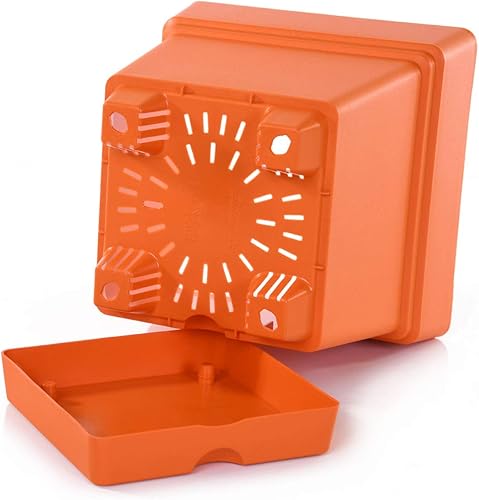 Miniatura 10 de Mintra - Macetas de plástico para plantas, maceta cuadrada para plantas de interior y exterior, macetas de jardín con platillos y agujeros de
