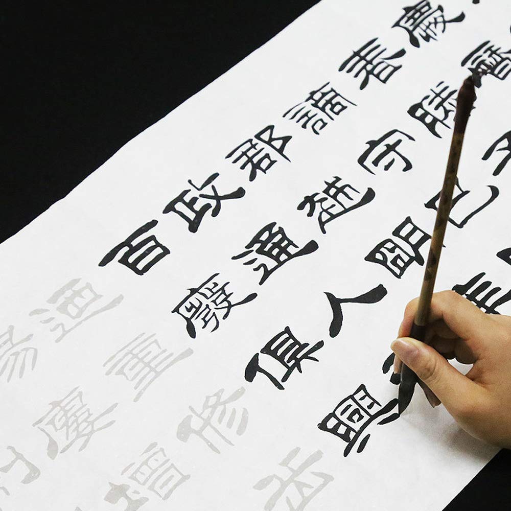 Lavami One Color Chinese Calligraphy Copybooks,Chinese Brush Calligraphy Practice Copybook Rice Paper Adults Beginner Liu Bingsen Script
