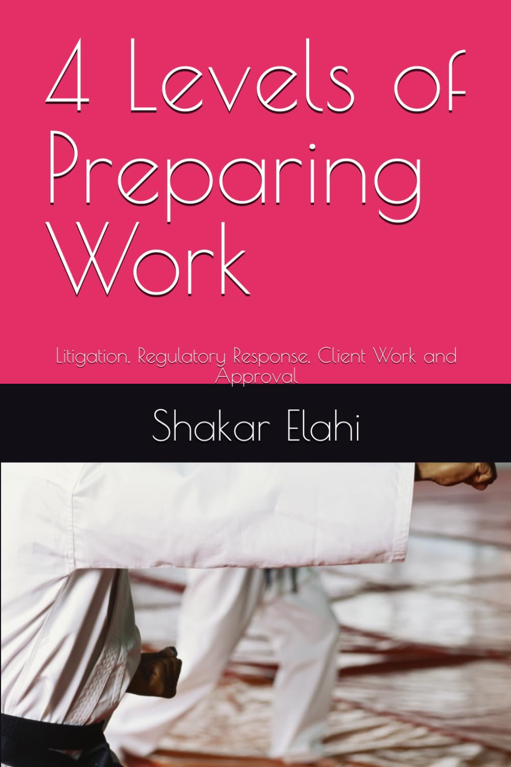 4 Levels of Preparing Work: Litigation, Regulatory Response, Client Work and Approval (Practitioners Series)