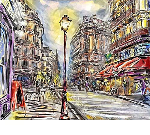 ABEUTY Cuadro de pared con luz de calle para pintar por números, pintura al óleo sobre lienzo 40 x 50 cm (cebra, con marco)