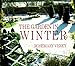 The Garden in Winter