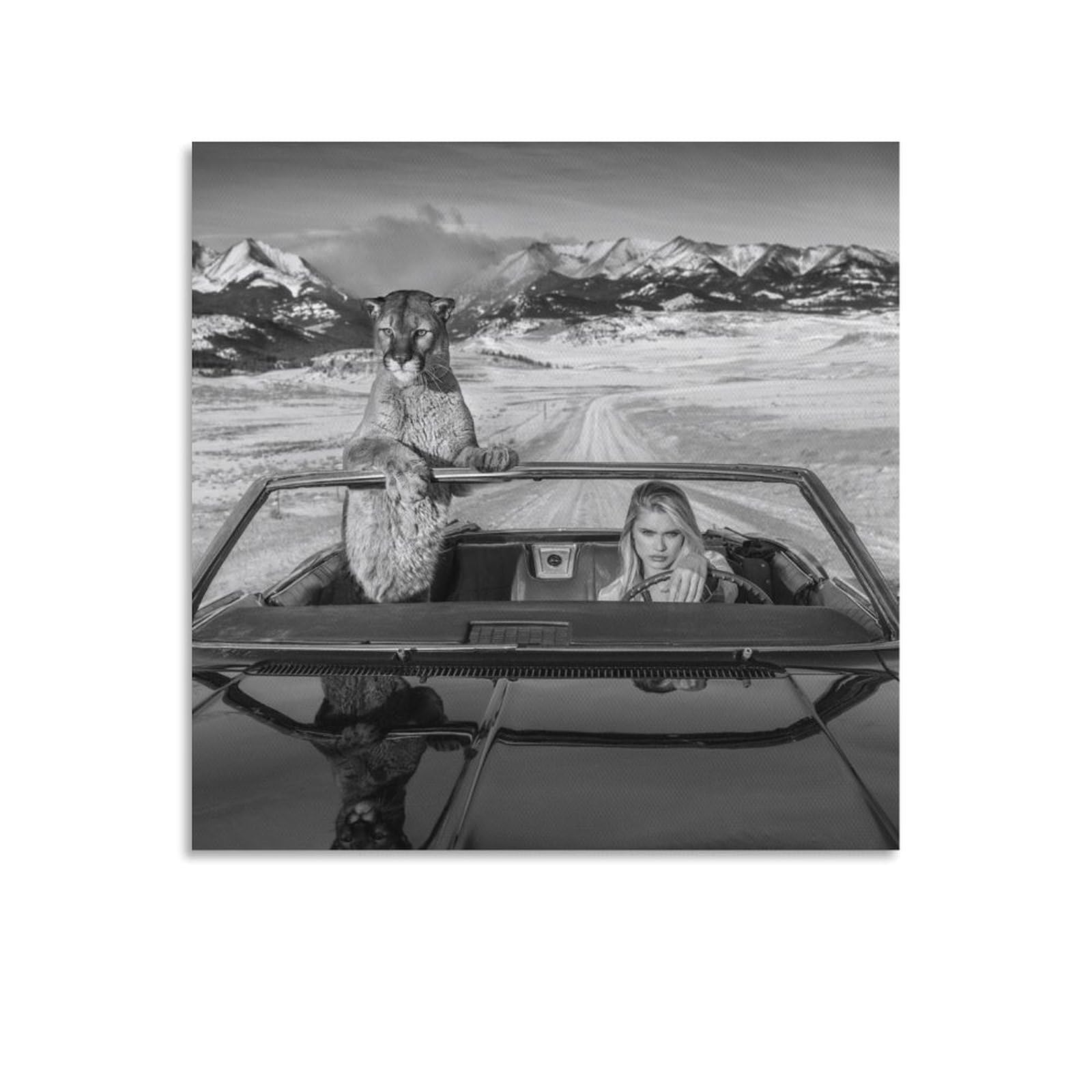 David Yarrow-No Country for Old Men-wildlife Black And White Art Poster Posters Art Print Wall Photo Paint Poster Hanging Picture