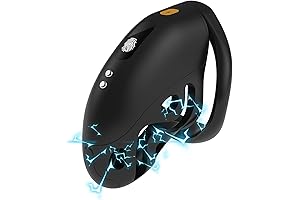 Electric Chastity Device Cock Cage with Remote Control and Adjustable Intensities