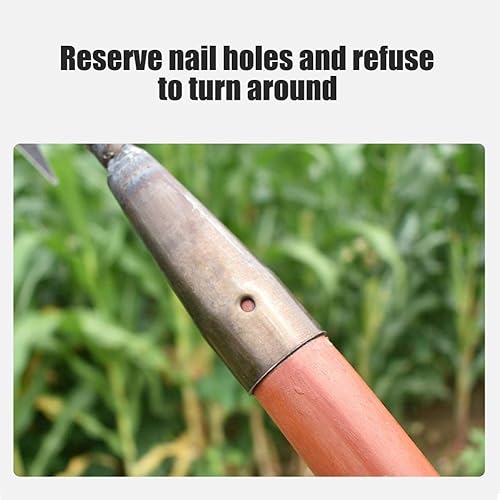 Miniatura 6 de Rastrillo de hierro para jardinería y deshierbe, rastrillo de hierro resistente, rastrillo de hierro, rastrillo de malezas, herramientas de