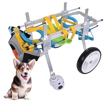 Amazon.co.jp: 犬用4輪歩行器 ペット用車いす ペット用車椅子 犬