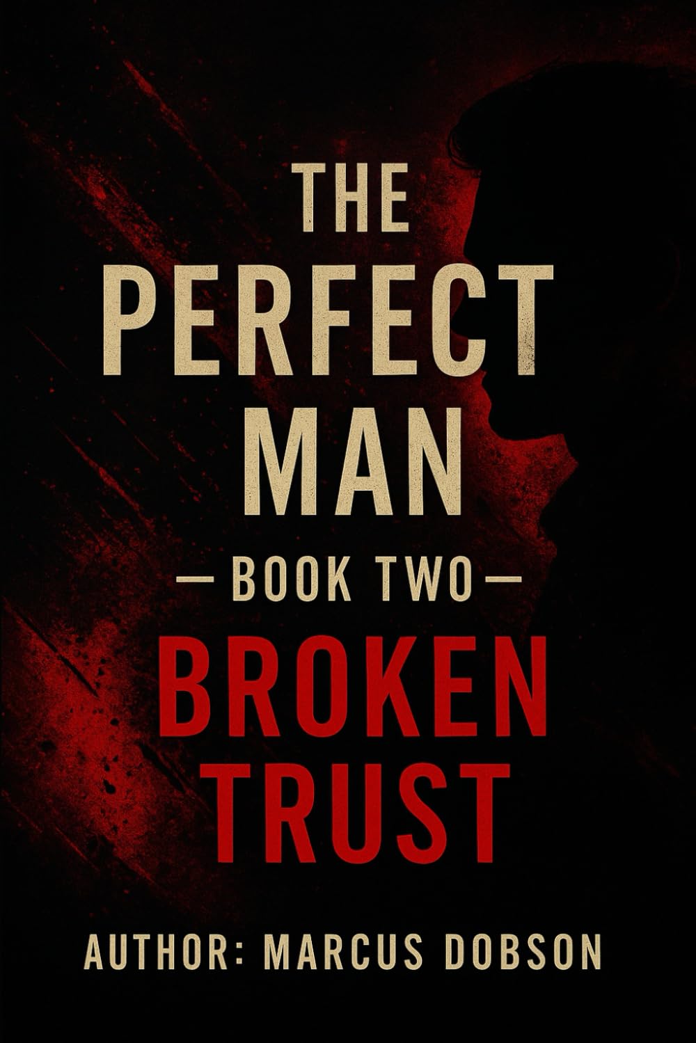 The Perfect Man: Broken Trust (The Perfect Man Trilogy)