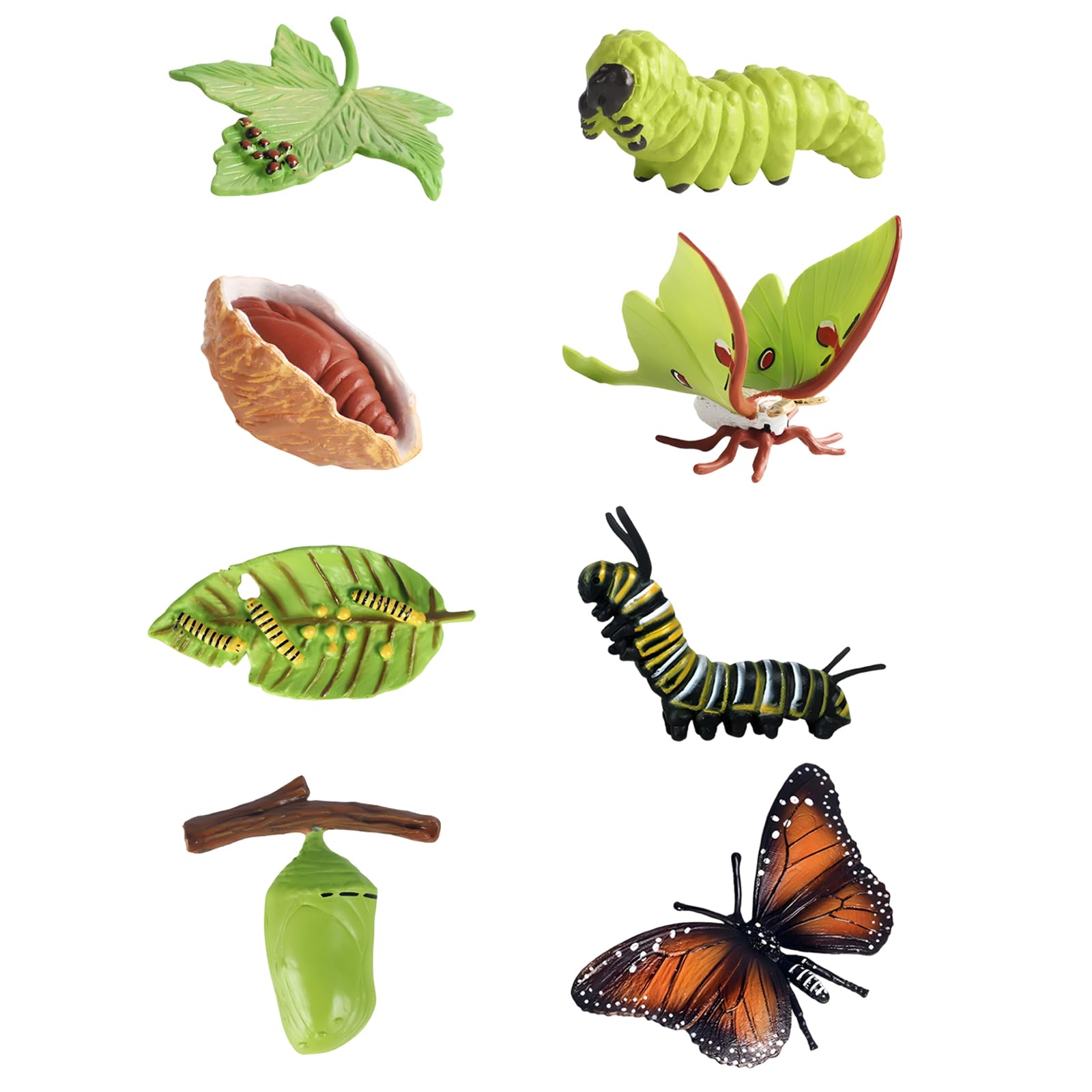 8PCS Butterfly Kits with Live Caterpillars, Educational Insect Growth Cycle Set, Nature Study and Science Learning Activities, Luna Moth and Butterfly Development Stages Collection