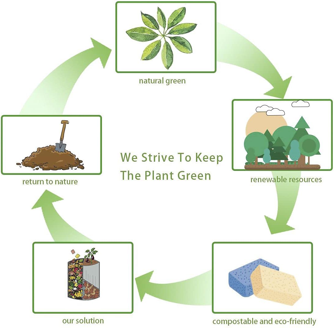 -Up Cellulose Spons – Lar, pred, Eco-Friendly & Plastic-Free