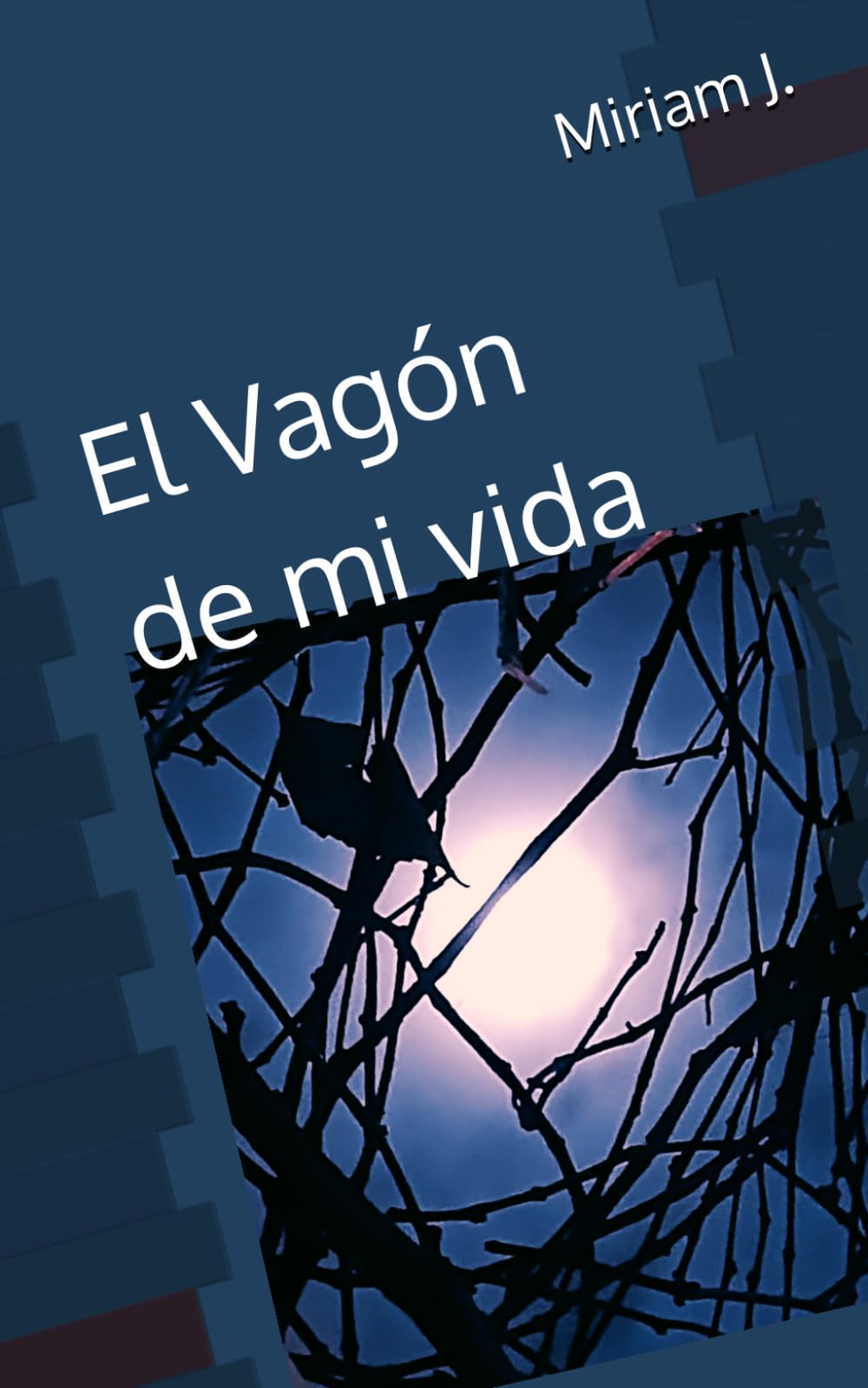 El Vagón de mi vida