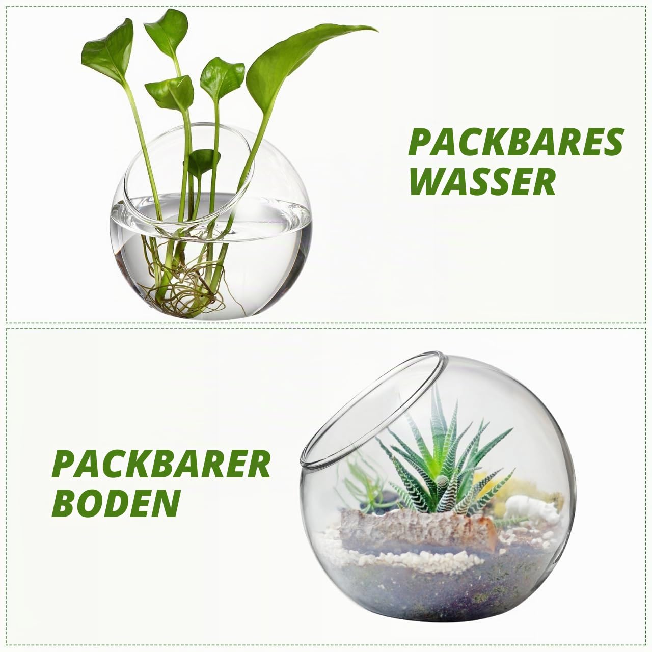 Mipcase 3er Glasterrarium Set 8/10/12 cm, schräge Kugelvase für Sukkulenten & Luftpflanzen, Mini-Biotop für Hydrokultur, transparente Tischdeko für Büro & Zuhause