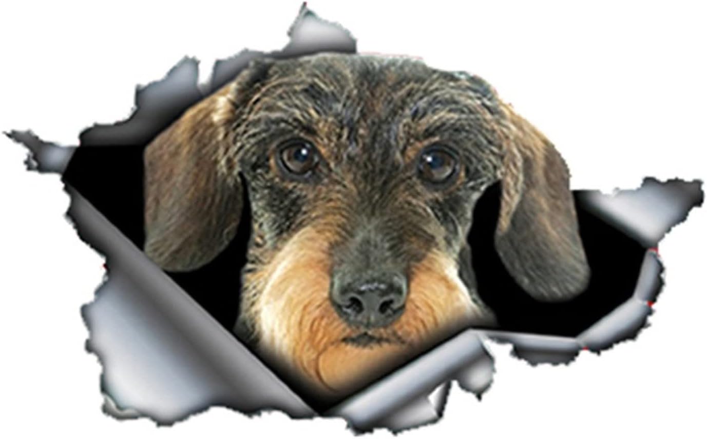 2 Adesivi Auto In Vinile HD - Impermeabili, Antigraffio, Design A-01 Per Colonne, Personalizzazione Auto - Foto 12