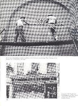 Hardcover Lettering for architects and designers Book