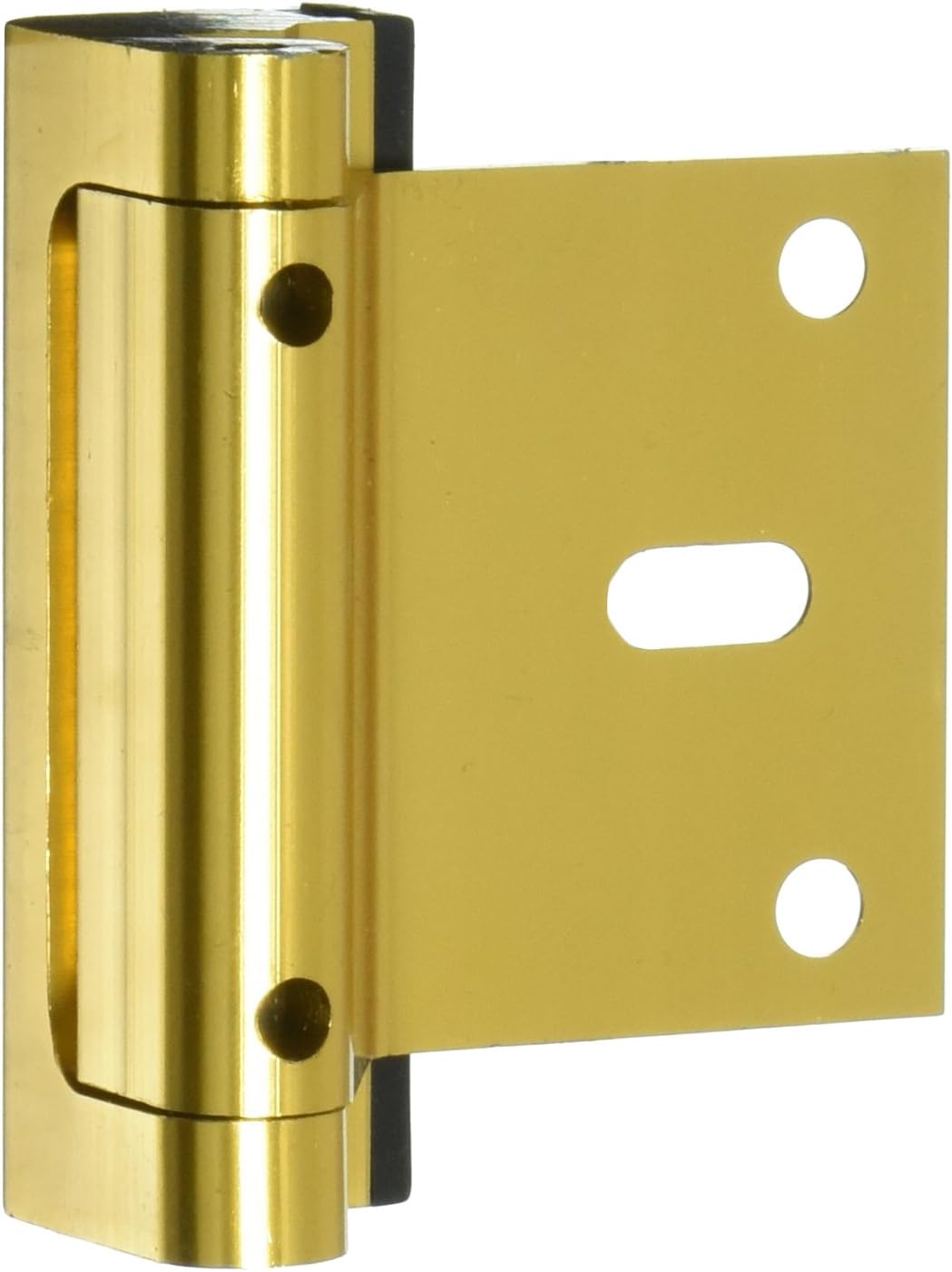 Cardinal Gates Door Guardian, Brass by Cardinal Gates Amazon.es