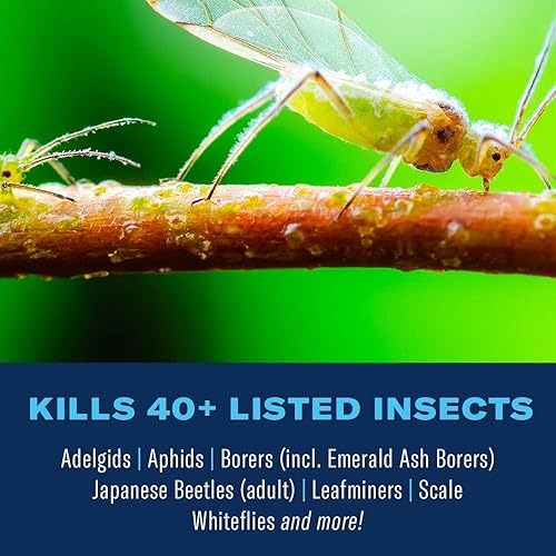 Miniatura 2 de BioAdvanced - Fertilizante y protector de arbustos y árboles