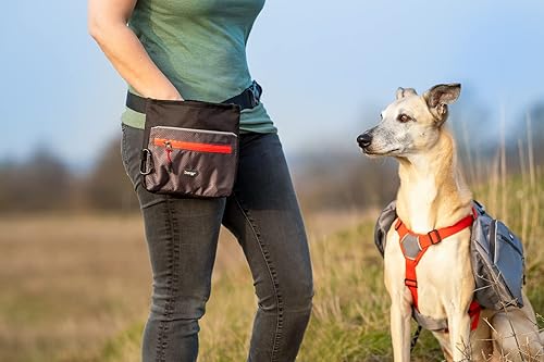 Miniatura 5 de iEnergy ELI - Bolsa para cinturón accesorio ideal para entrenamiento de perros, cinturón manos libres para pasear perros con bolsa para golosinas,