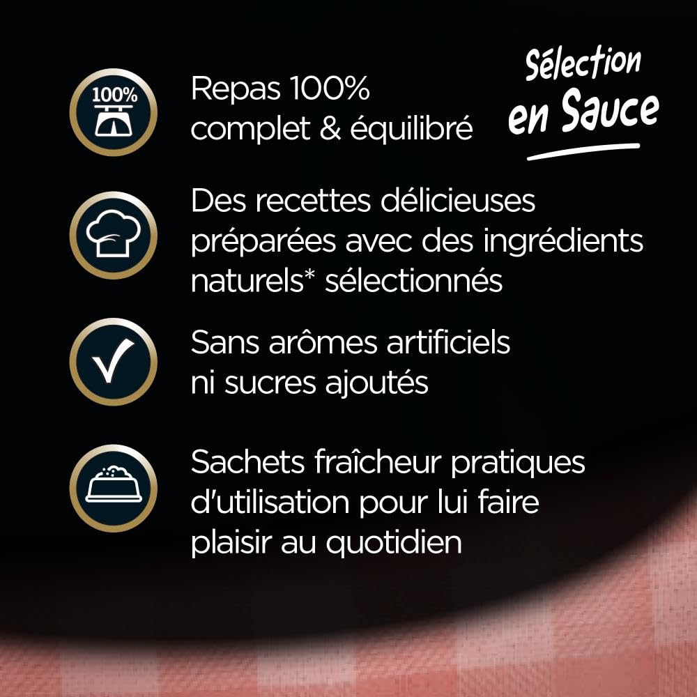 CESAR Repas pour Chien - 48 Sachets Fraîcheur (Lot de 4 Packs 12x100g) - Pâtée pour Chien en Sauce - Boeuf/Poulet/Agneau/Dinde - Nourriture Complète & Equilibrée avec des Ingrédients Naturels
