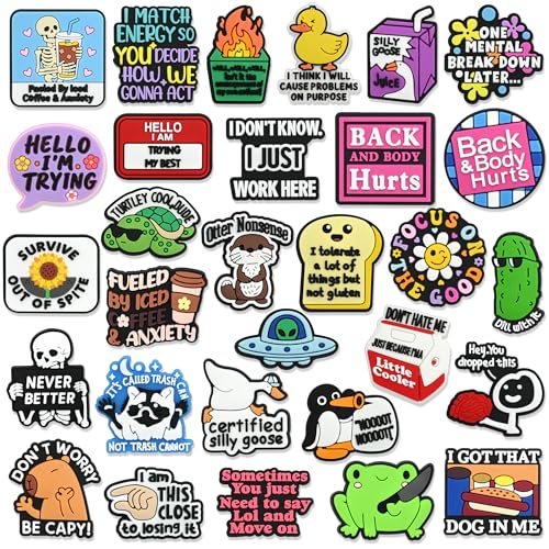 30PCS Funny Pins for Work Sarcastic Pins Bulk Funny Pin for Jackets/Hats/Bags Office Worker Coworker Gifts