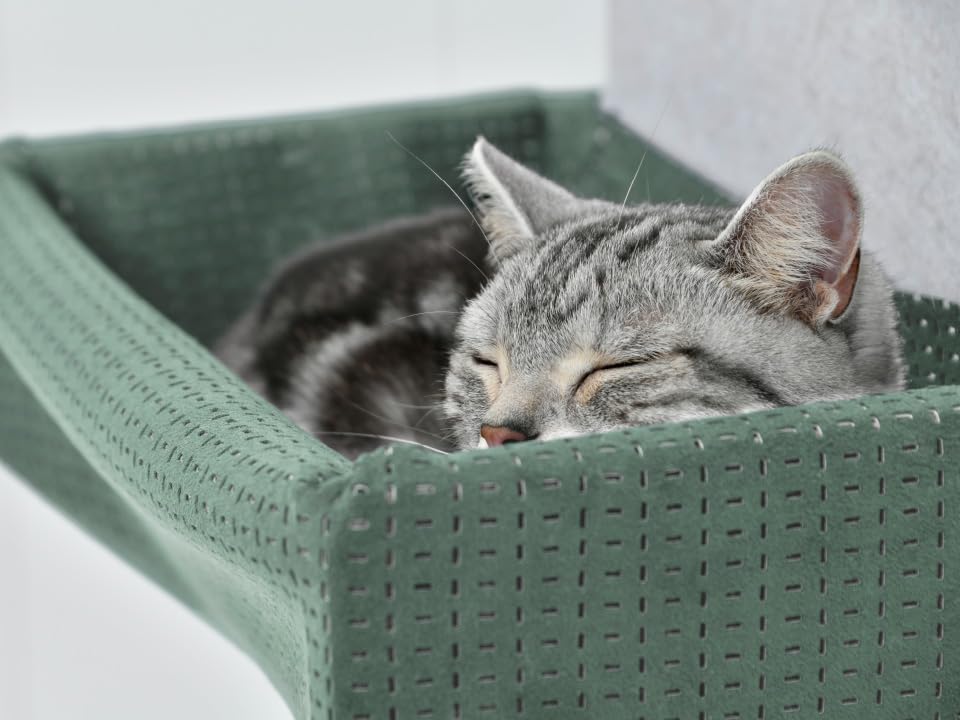 Amazon.co.jp: LIXIL(リクシル) キャットウォーク 猫壁(にゃんぺき