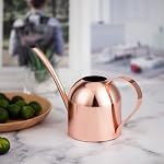 IMEEA Watering Can Indoor Stainless Steel Watering Can for Indoor Plants 15oz/450ml (Rose Gold)
