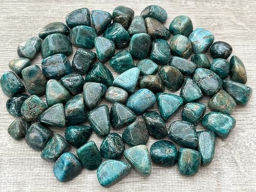 Image of GAF TREASURES 1 /2 LB Apatite Tumbled Stones, Polished Apatite Gemstone, Apatite Healing Crystals (Apatite)