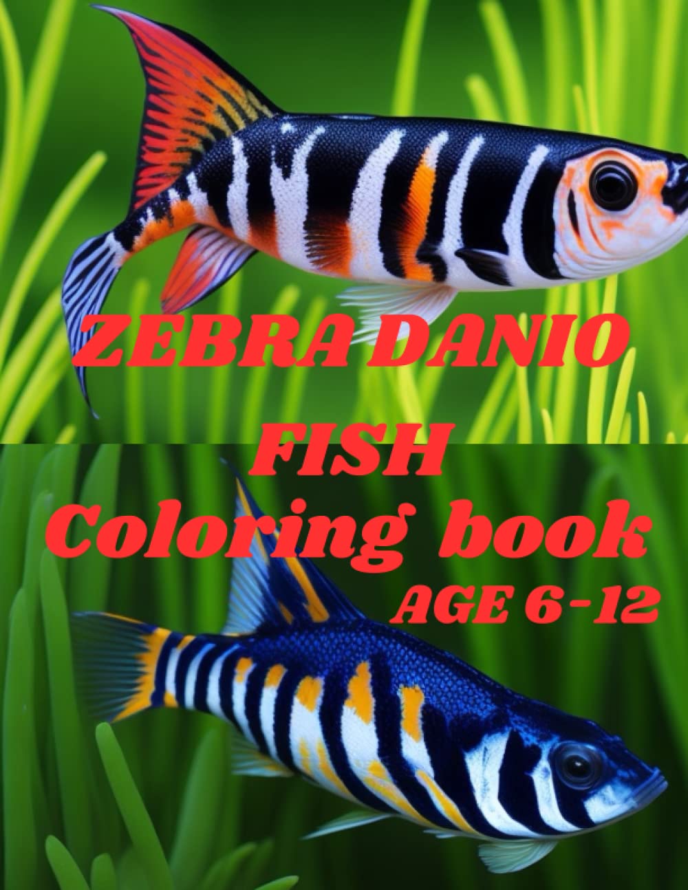 ZEBRA DANIO FISH COLORING BOOK: Awesome Zebra Danio Fish Coloring book for kids Age 6-12