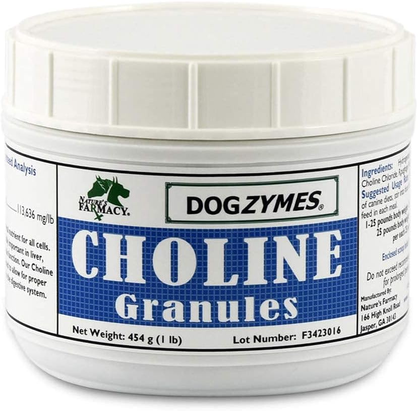 choline for dogs