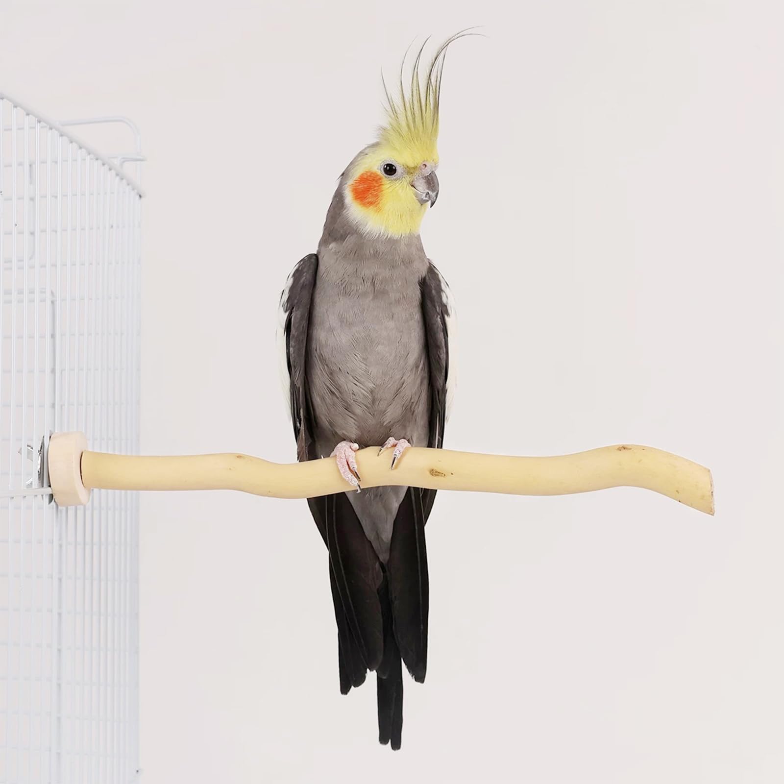 8 Pz Posatoi in Legno di Uccelli, U Forma Posatoi per Uccelli, Posatoi in Legno per Uccelli Legno Naturale per Cacatua, Cocorite