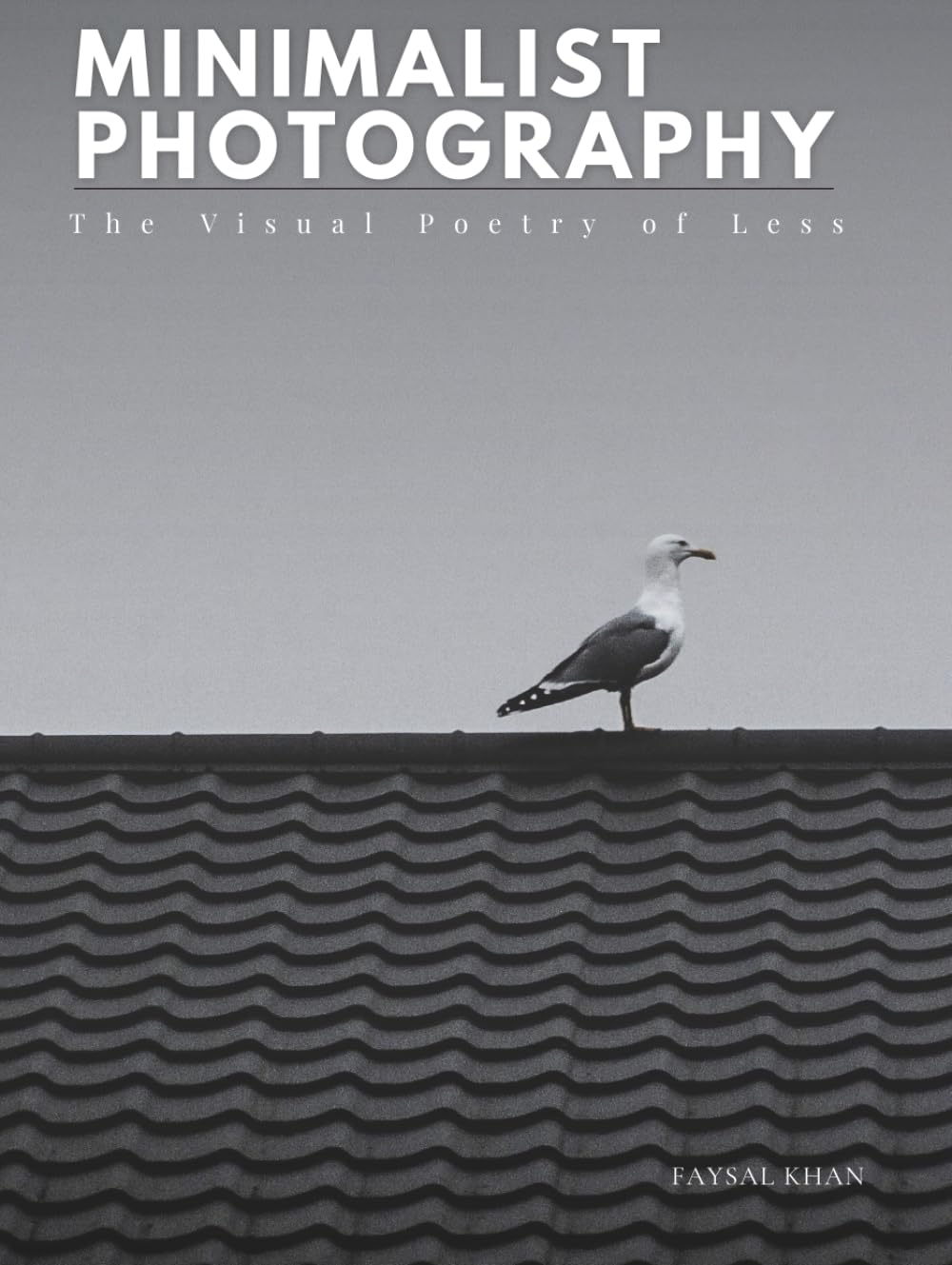Minimalist Photography: The Visual Poetry of Less