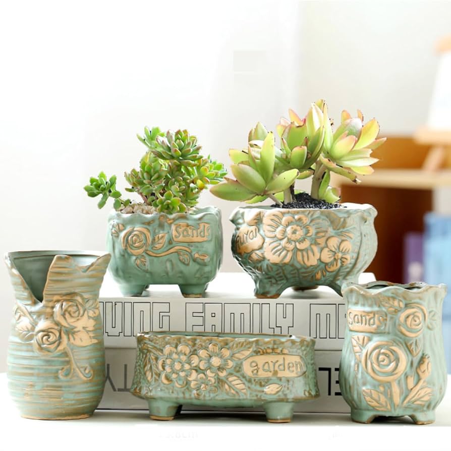 Amazon.co.jp: [dhiuebc] 観葉植物 かわいい 映える 小さい