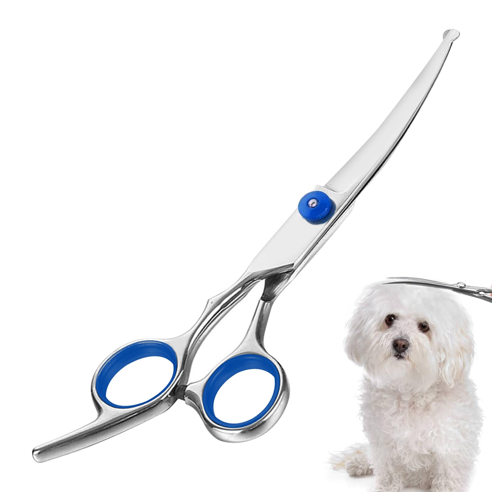 Ciseaux de Toilettage Chien Courbés Professionnels | Idéal pour Finitions Précises Visage et Pattes | Sécurité Maximale avec Pointes Arrondies | Acier Inoxydable 17cm