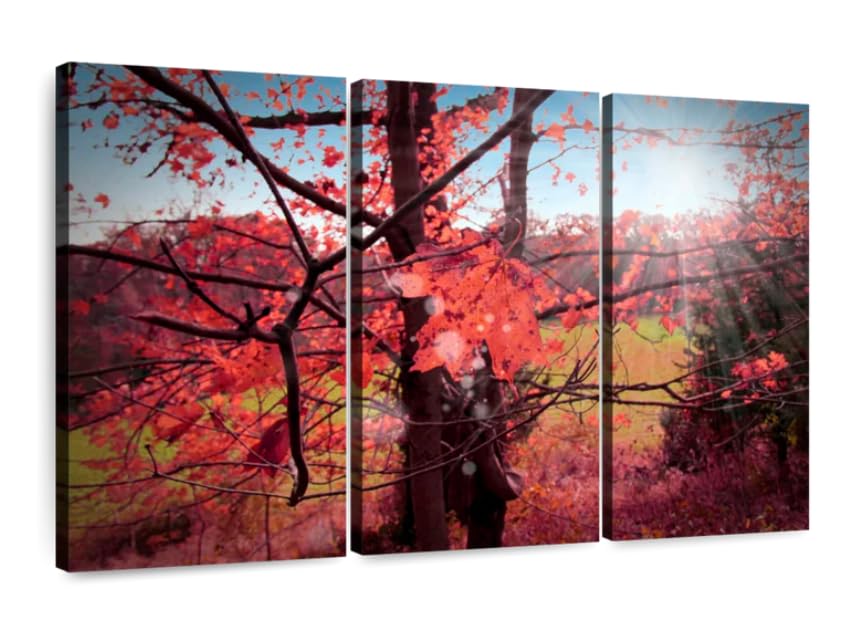 Art mural 3 parties arbres d'automne avec châssis de qualité pour salon chic