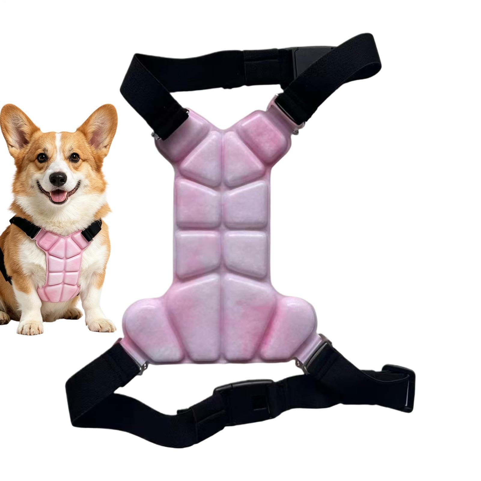 Chaleco para mascotas para perros con gel de protección ligera contra sol